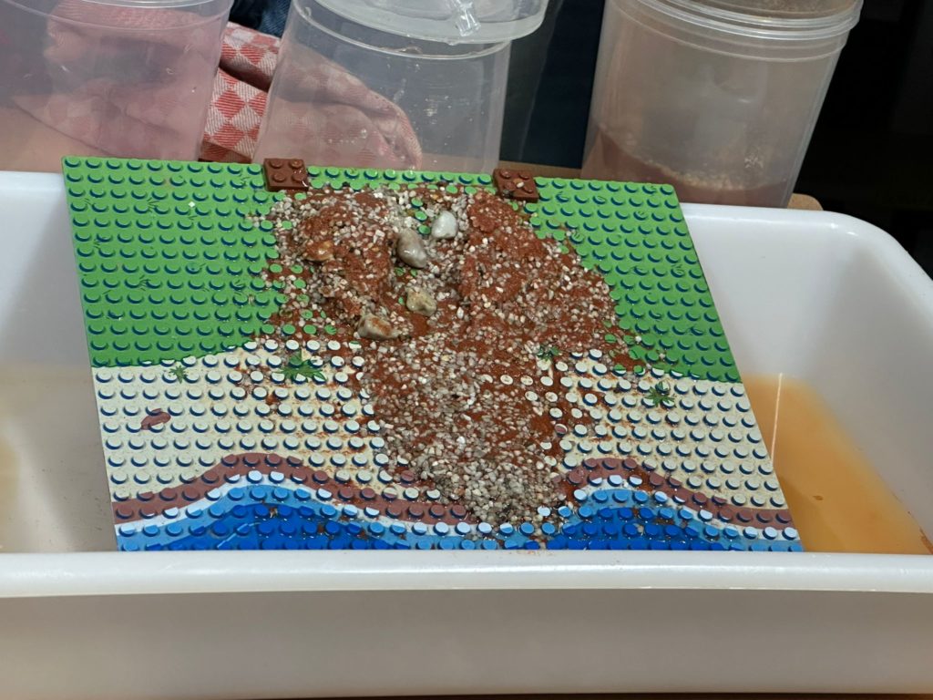 WhatsApp Image 2025-11-25 à 12.15.34_da26d99b